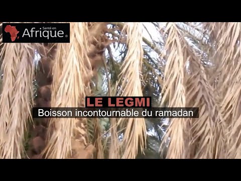 Connaissez Vous Le Legmi Le Vin De Palme Tunisien