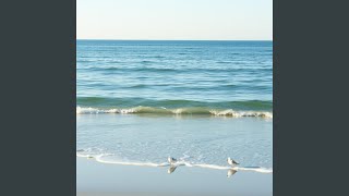 Poise for Open Windows