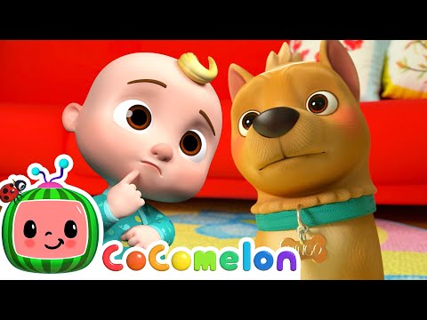 My Dog Song - I Love my Puppy Bingo | CoComelon Furry Friends | Animals for Kids