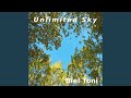 Unlimited Sky