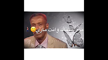 عاطف السماني مالو لو صافيتنا انت حالات واتساب سودانيه 