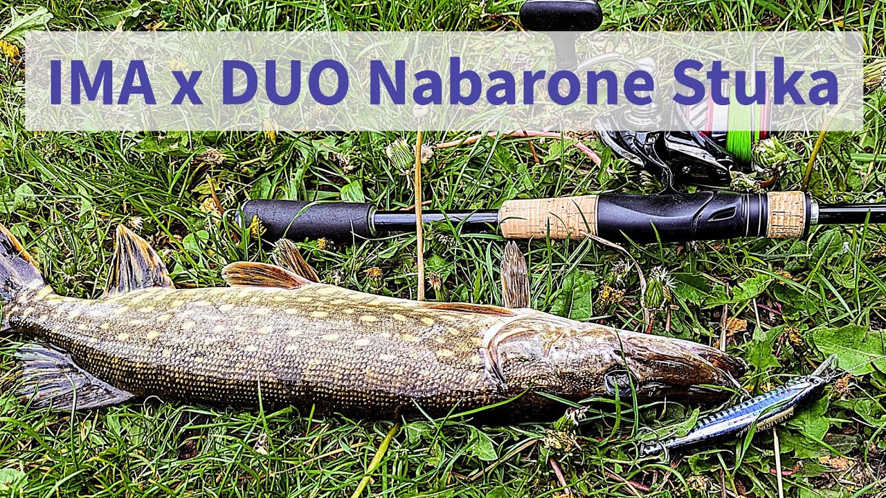 IMA x DUO Nabarone Stuka – огляд воблера + реальна рибалка | проводки, характеристики