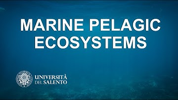 MARINE PELAGIC ECOSYSTEM - CMBE