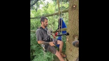 Professional Treehouse Build — GTS Allstar Screw Installation in High Tree