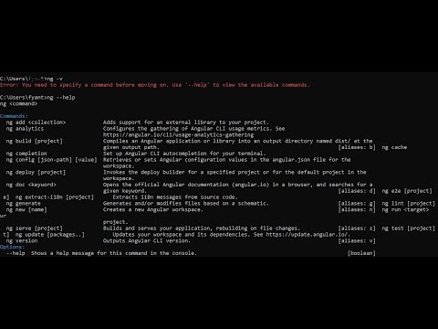 how to fix ng not recognized issue angular: use "ng version" instead of "ng -v" or "ng -version"