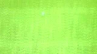 tiger woods pga tour 09 glitch