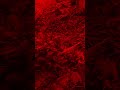 red🔥🔥 #everyone #likeandsubscribe #nature #fypシ゚viral #trees