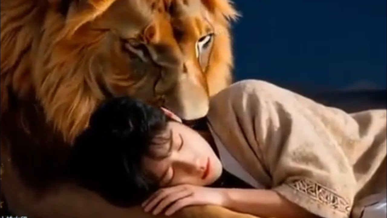 🐰 always needs a powerful & protective 🦁 