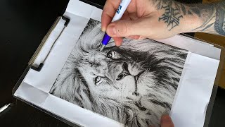 STENCILLING A LION LIVE 🦁