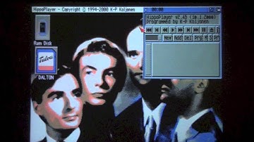 Datastorm 2013: Amiga