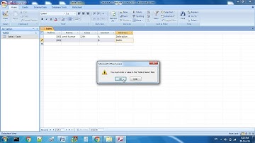 Required Property in MS Access 2007