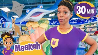 meekah s animal adventure i playtime learning fun guess