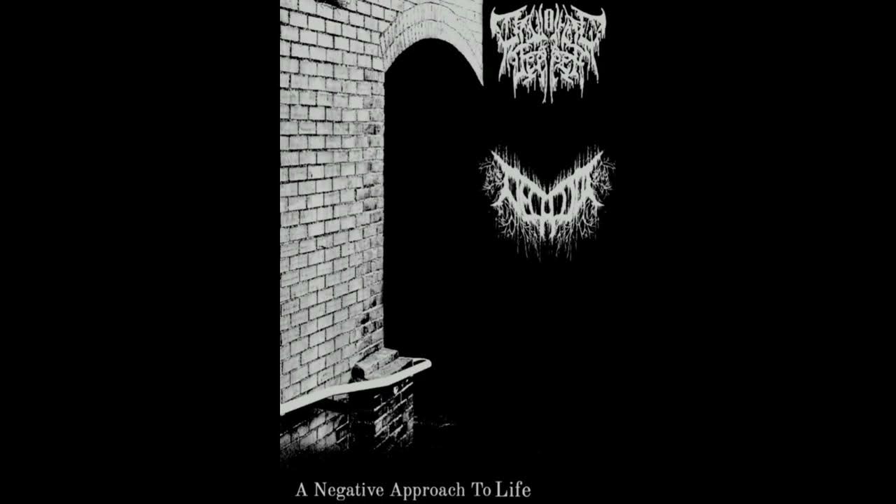 Life split. Life split