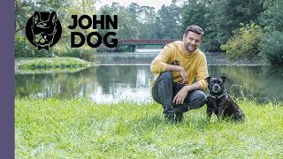 Jak nauczyć psa slalomu między nogami?  TRENING PSA  John Dog