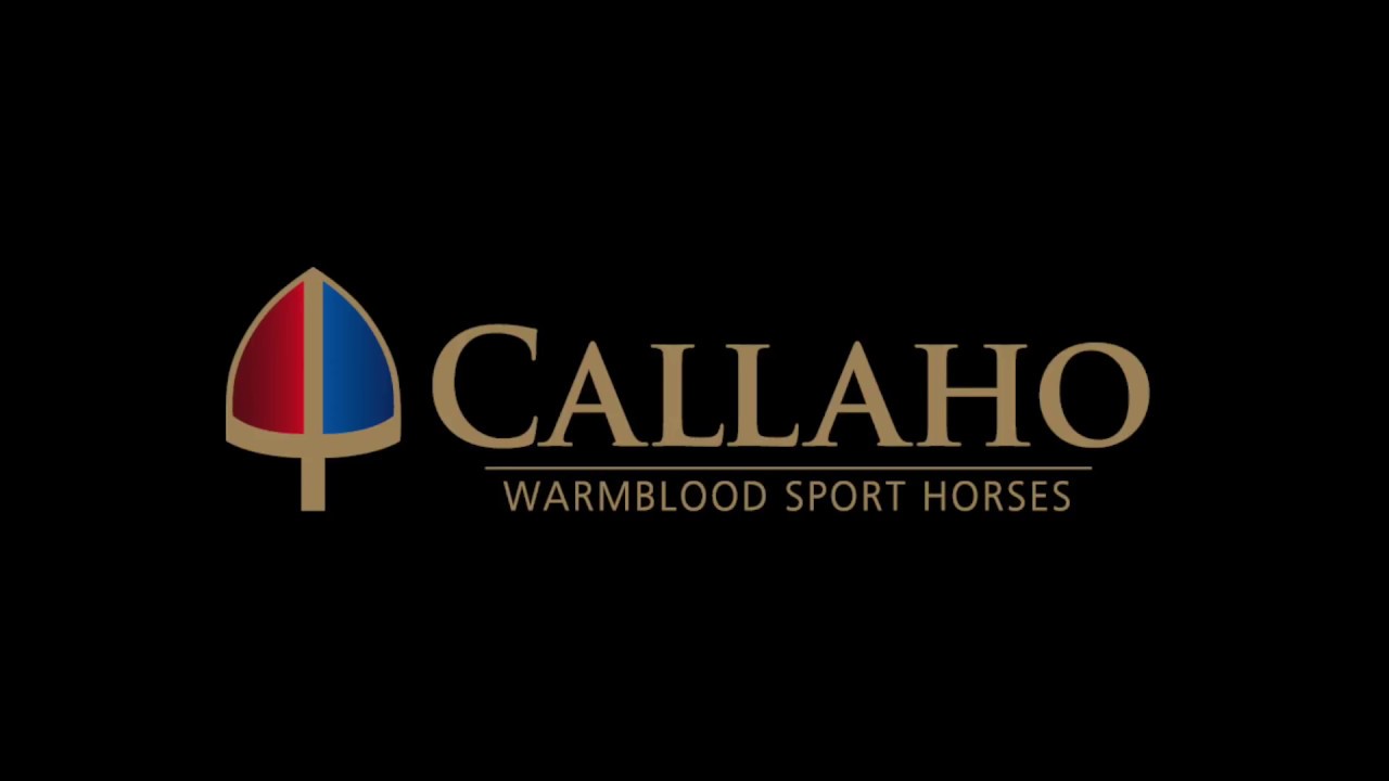 Callaho Auction 2018