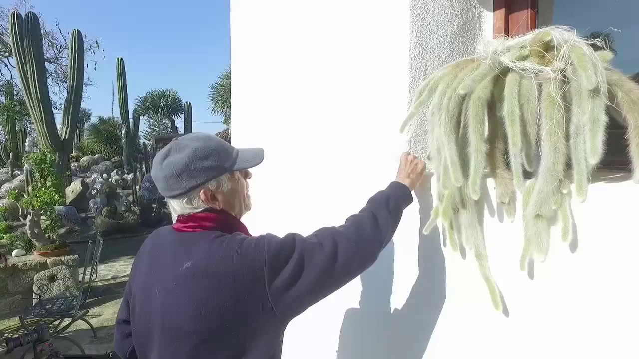 Veste invernale Giardini Ravino