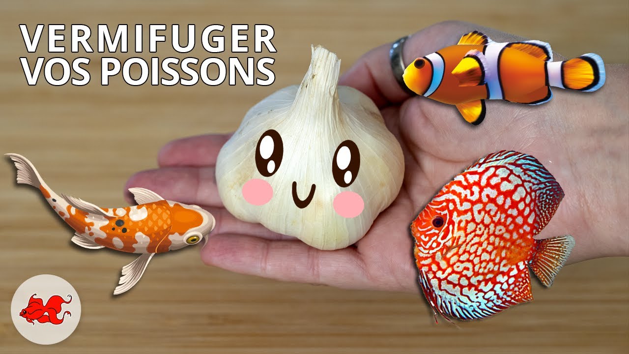 Vermifuger vos poissons naturellement