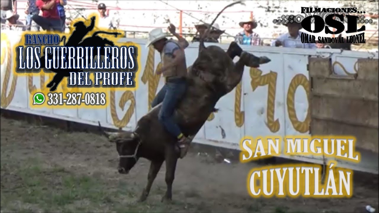 15 GUERRILLEROS! PURA SANGRE NUEVA, FESTEJANDO A 