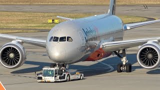 20 MINUTES of PLANE SPOTTING at Melbourne Airport [MEL/YMML] by Aesthetic Aviation 655 views 3 weeks ago 19 minutes