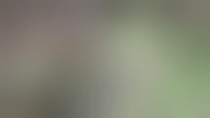 pig hunting nz 3 good boars