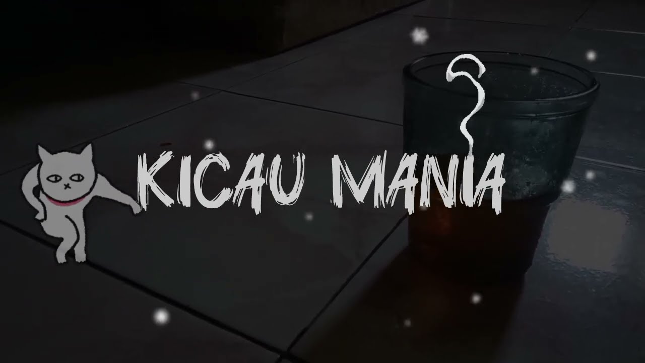 DJ KICAU KICAU MANIA SLOW TIKTOK VIRAL FULL SONG REMIX