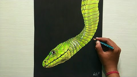 How to draw realistic snake drawing video time lapse