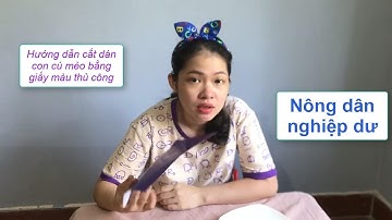 Nông dân nghiệp dư | Hướng dẫn cắt dán con cú mèo bằng giấy màu thủ công