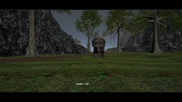 root motion animation