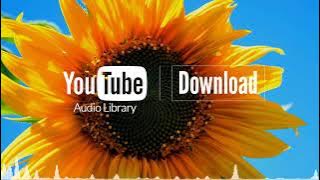 How it Began – Silent Partner No Copyright Music