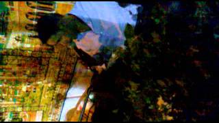 Ali Pehlivan Karşık Damar,Aşirett