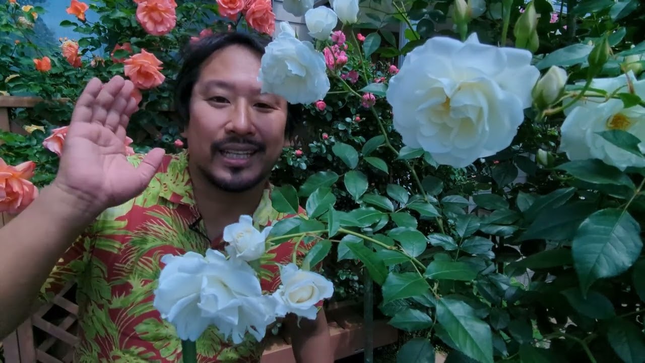 今日からしばらく豊橋の人間になります♪