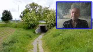 Brhlík a sojka
