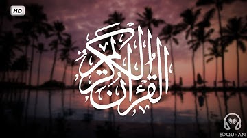 قرآن كريم بصوت خالد الجليل | حالات واتس اب دينية | مقاطع دينية قصيرة