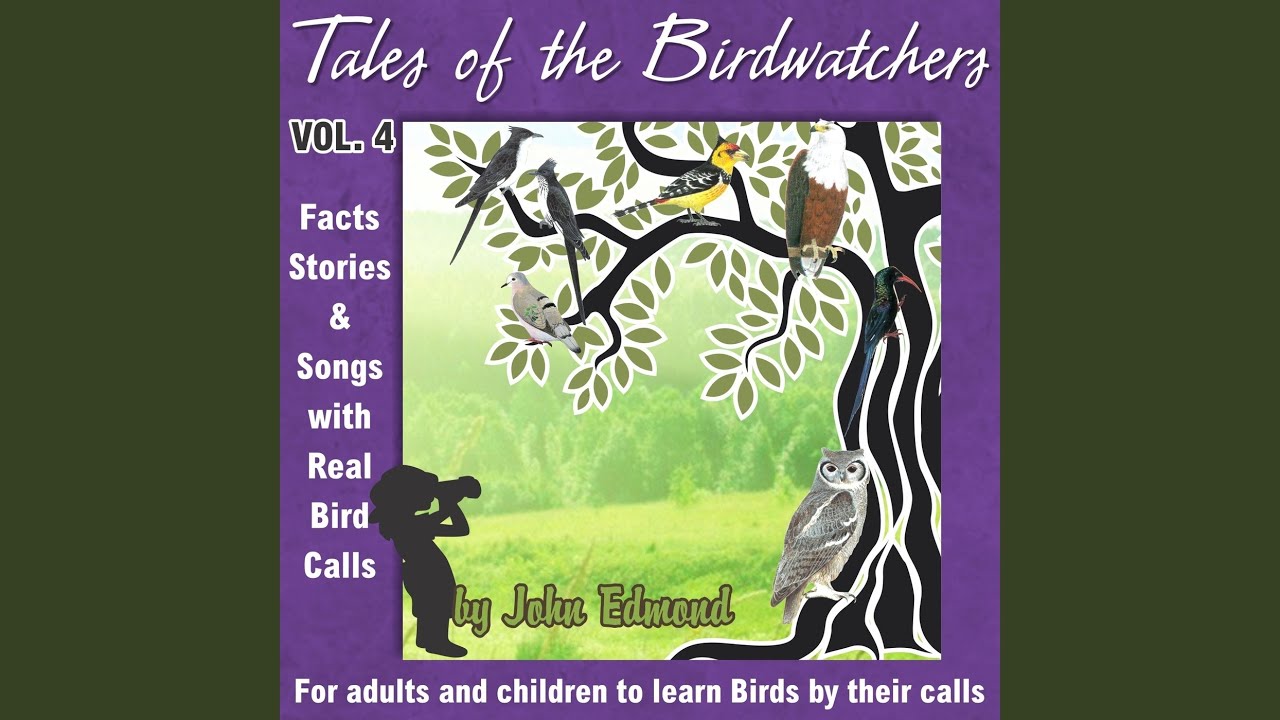 Subject: Green Wood Hoopoe