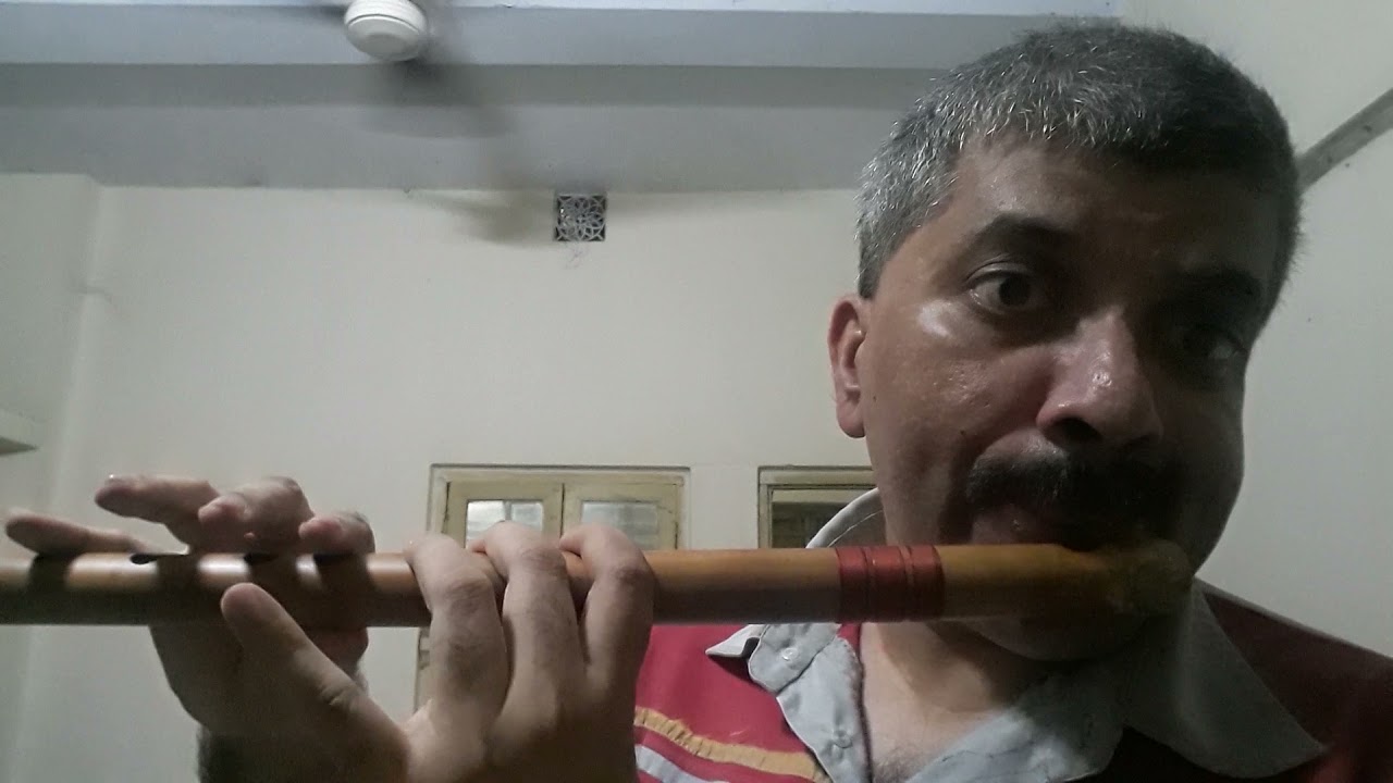 D scale Carnatic flute review. By   Prof. G Harikrishnan ( IIT KHARAGPUR)