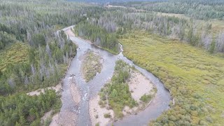 Fly Fishing Blacks Fork in Utah's Unita Mountains