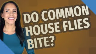 Do common house flies bite?