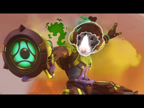 lucio players are smelly RATS