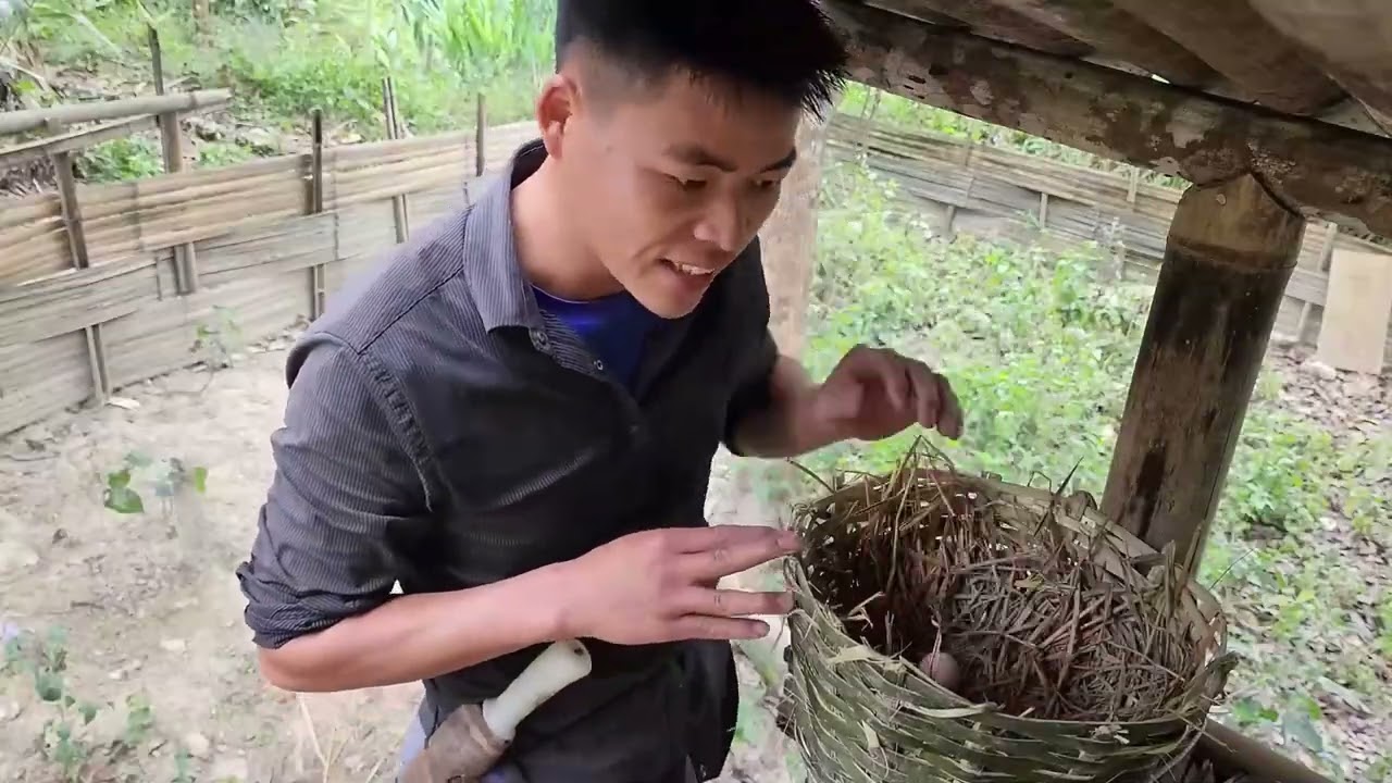 True Happiness – Building a Life Together with My Husband & Family