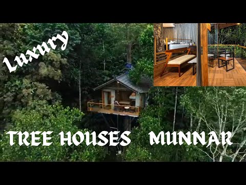 Tree house in