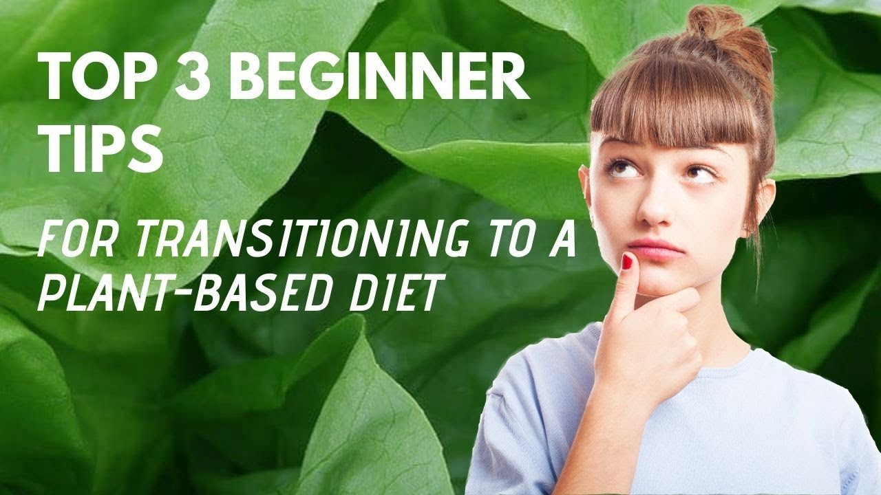 Top 3 Beginner Tips For Transitioning To a Plant Based Diet - YouTube