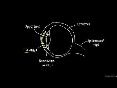 Диоптри́я, аберра́ция и человеческий глаз | Геометрическая оптика