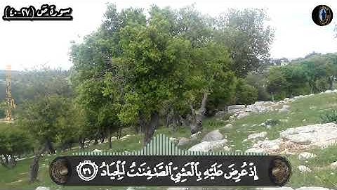 ﴿وَما خَلَقنَا السَّماءَ وَالأَرضَ وَما بَينَهُما باطِلًا﴾ تلاوة من سورة ص للشيخ عبد الولي الاركاني