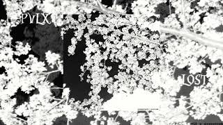 Gemsgottage - Lost Feat. Scarecrow Prod.