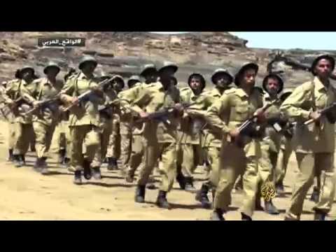 حركة الحوثيين وبروزها قوة سياسية وعسكرية باليمن