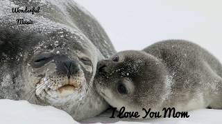 Download lagu I love you mom (by Vino Ranaldo)