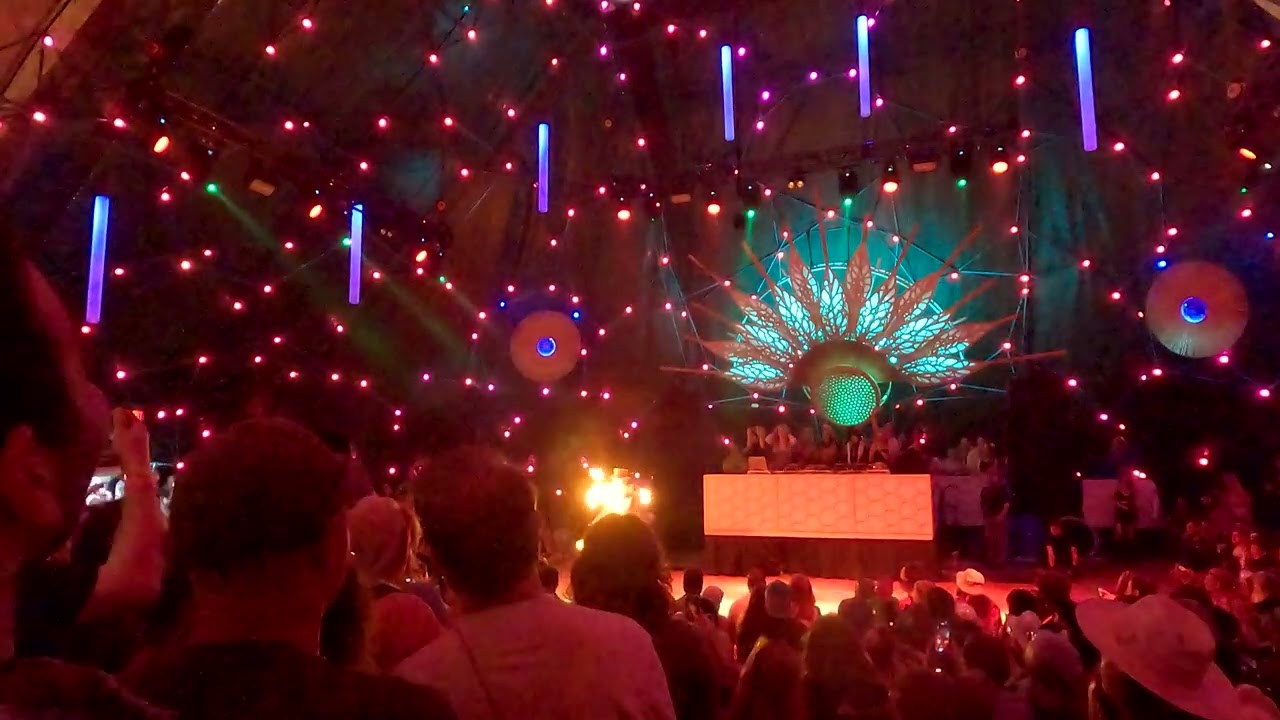 Damien Flame @ Harvest Festival 2023 - Willy Wonka