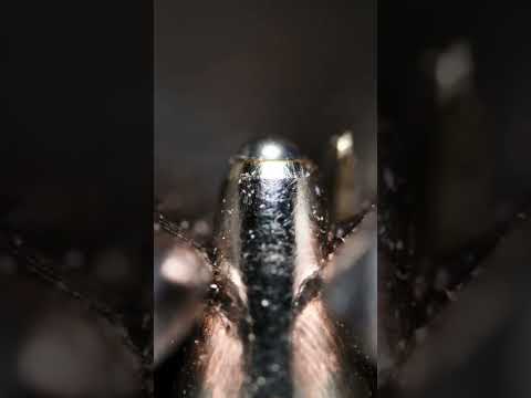 PEN NIPPLE bracking