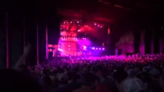 Phish Mann Free