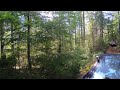 End of video